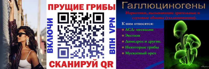 Псилоцибиновые грибы прущие грибы  Абдулино 
